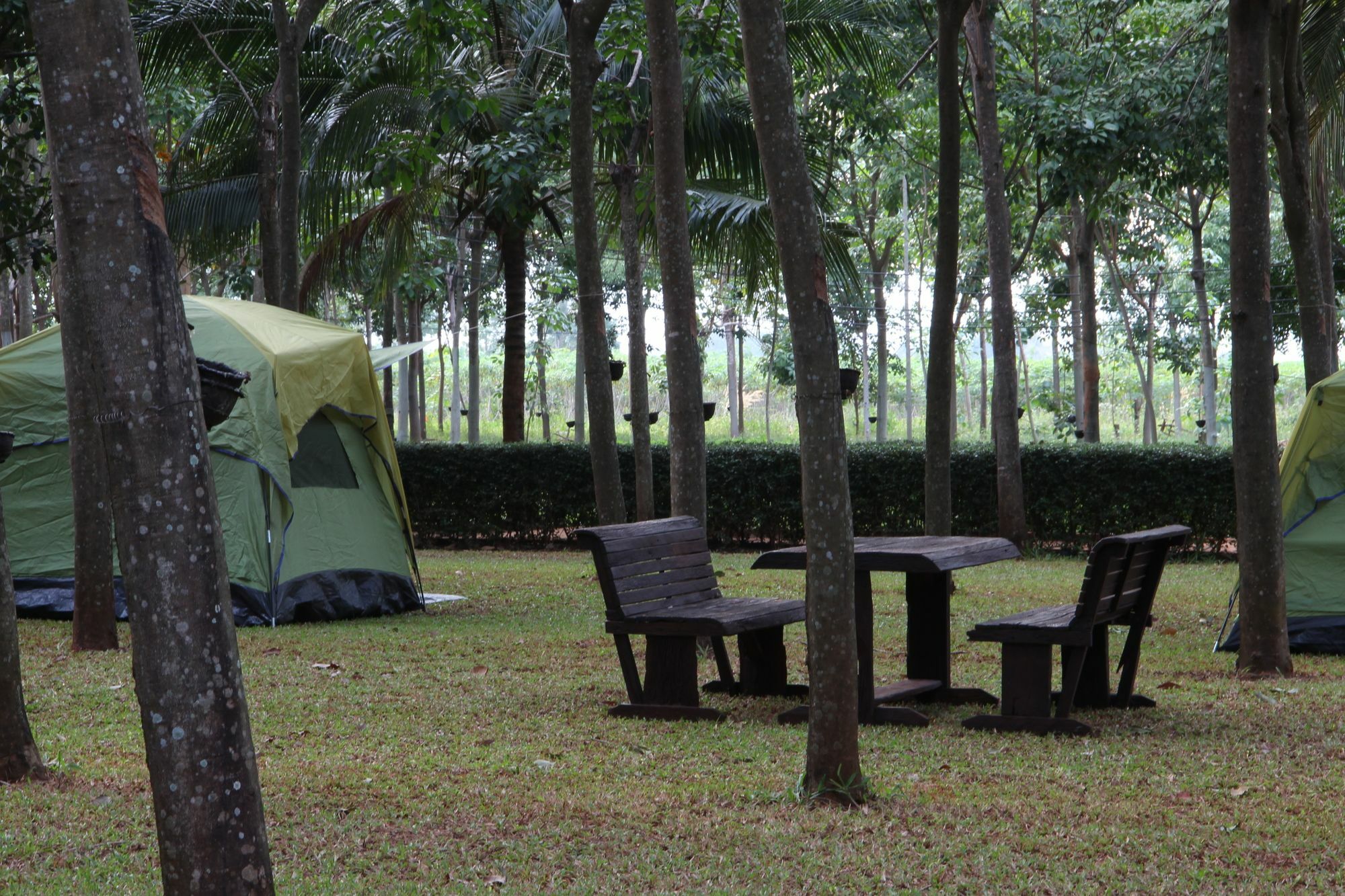 Singha Rubber Tree Hotel Ban Huai Maenam Noi Екстериор снимка