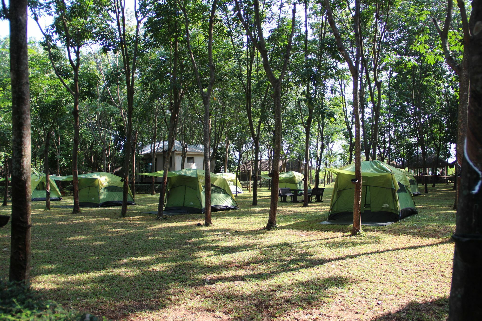 Singha Rubber Tree Hotel Ban Huai Maenam Noi Екстериор снимка